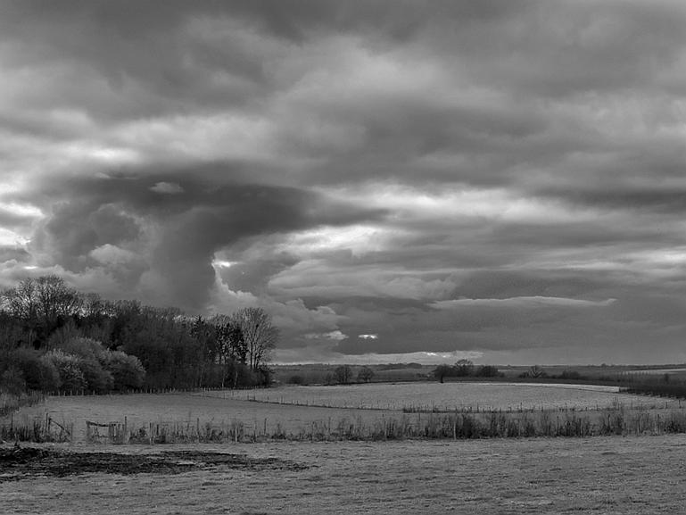 P1100070ZW
