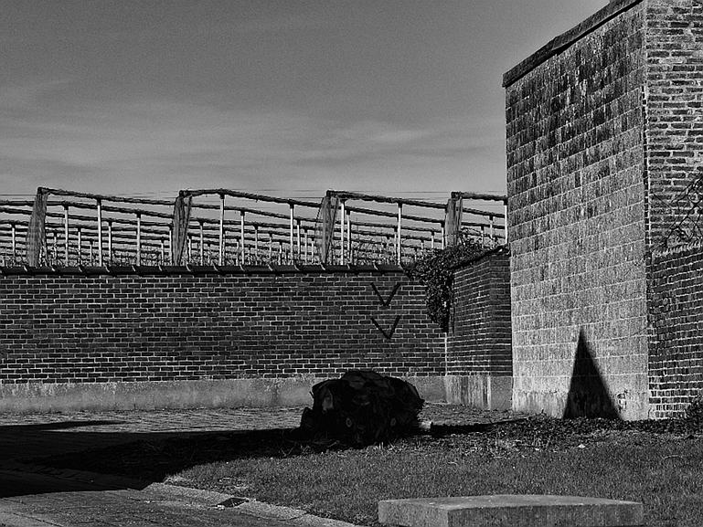 P1120189ZW