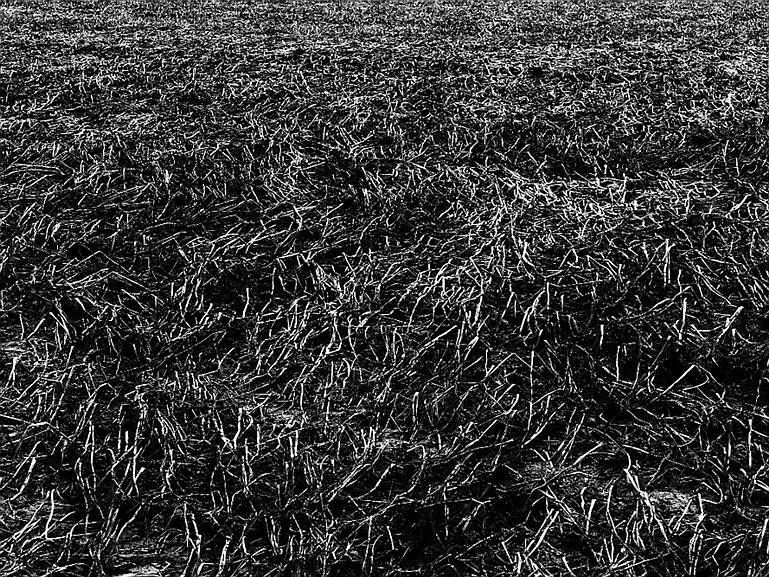 P1120873ZW