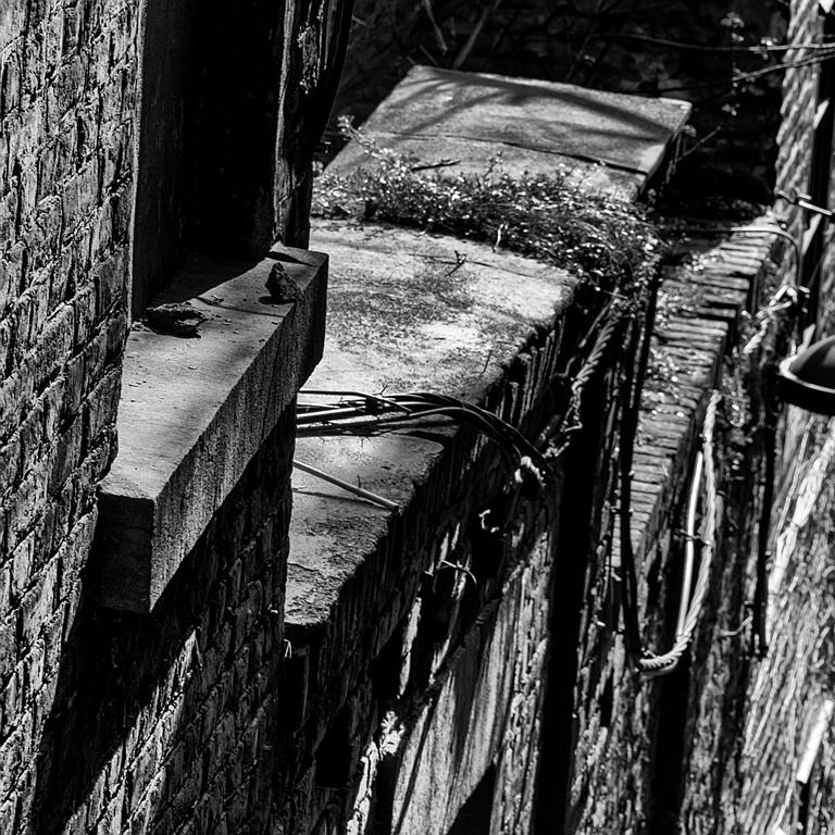 P1130525ZW