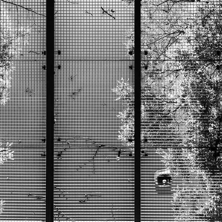 DSCF4319ZW