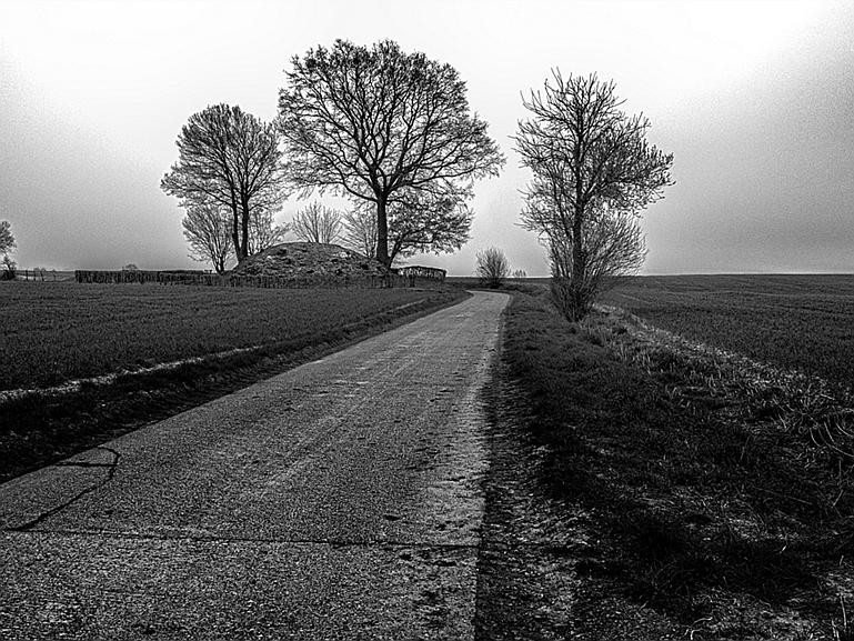 DSCF4588ZW