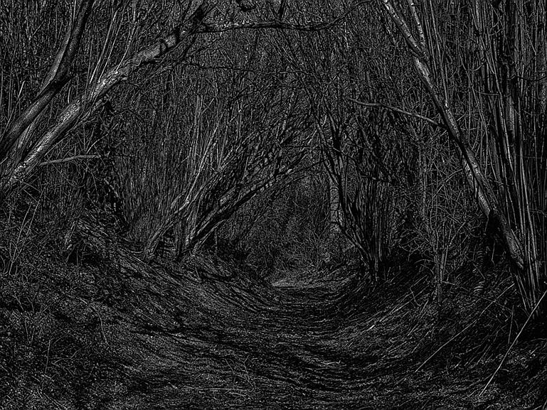 DSCF9564ZW